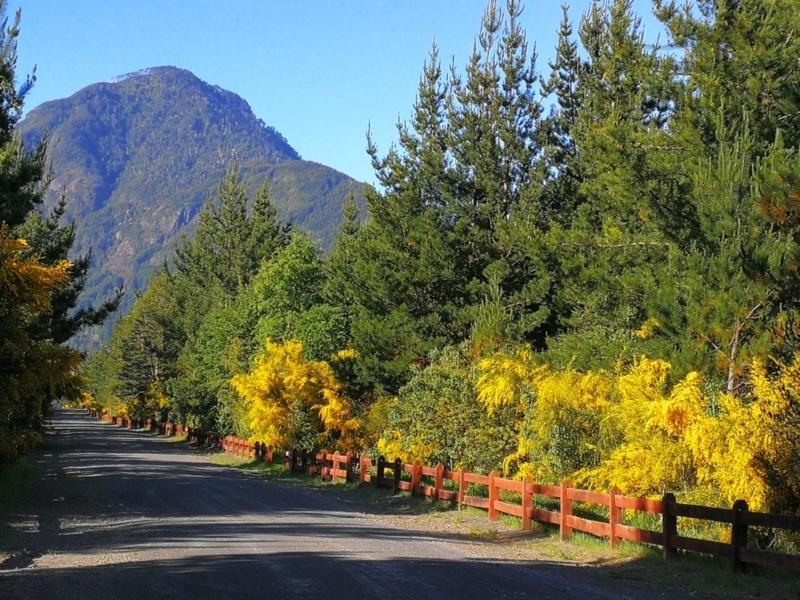 Condominio a Solo 5 Km del Centro de Pucon